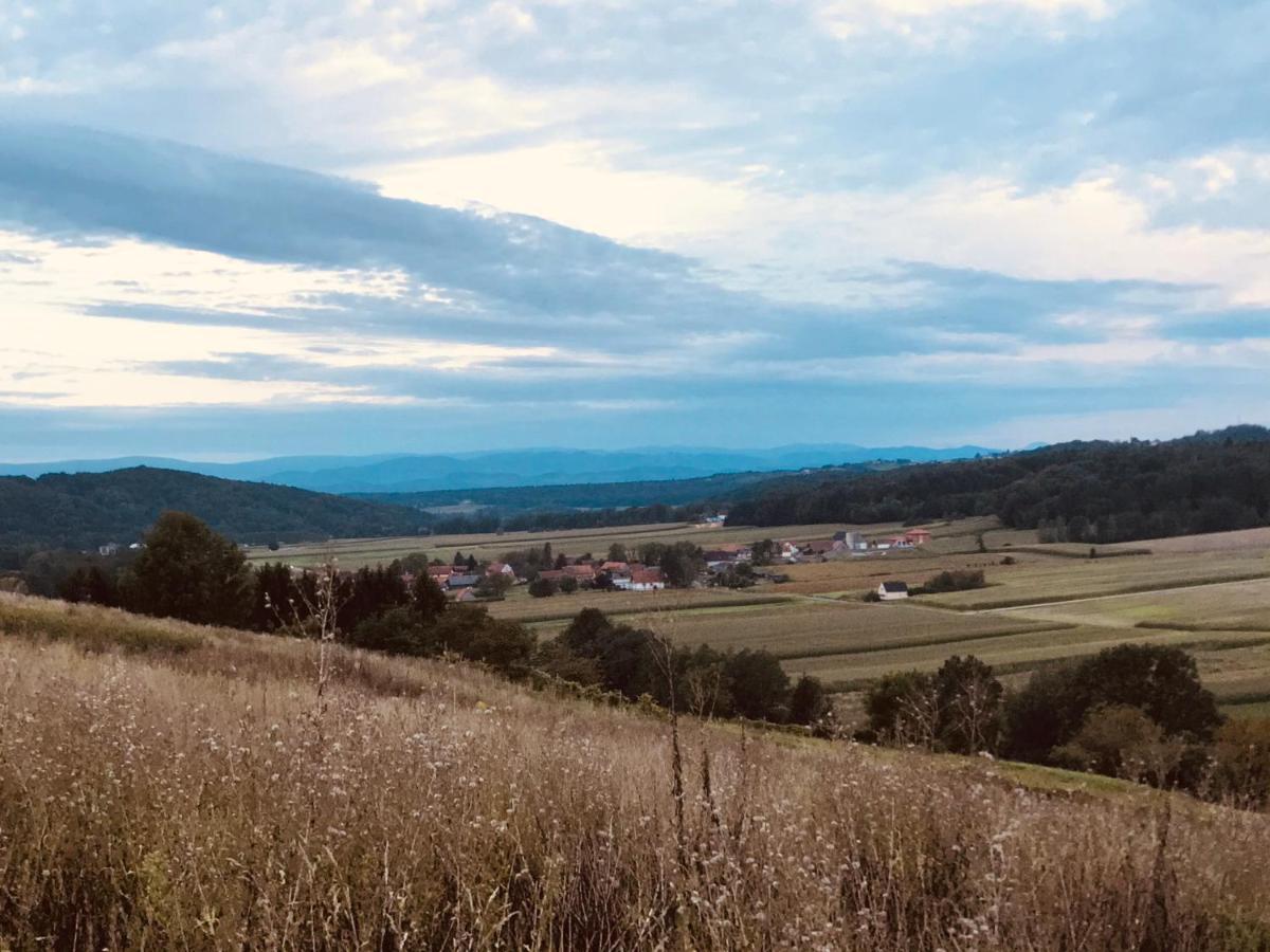 Landvilla Sinelia Premium Dietersdorf am Gnasbach ภายนอก รูปภาพ