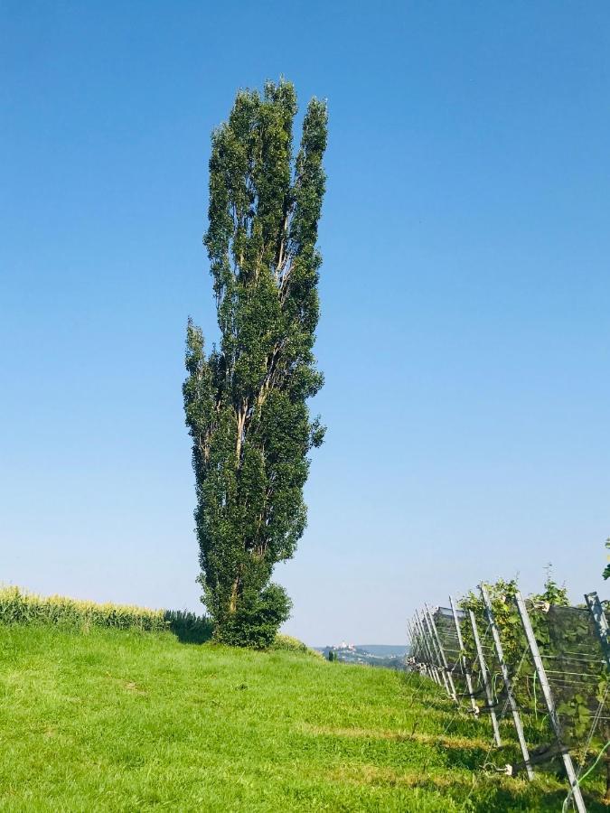 Landvilla Sinelia Premium Dietersdorf am Gnasbach ภายนอก รูปภาพ